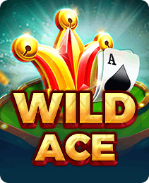Wild Ace on Rokda7 India