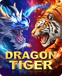 Dragon vs Tiger on Rokda7 India